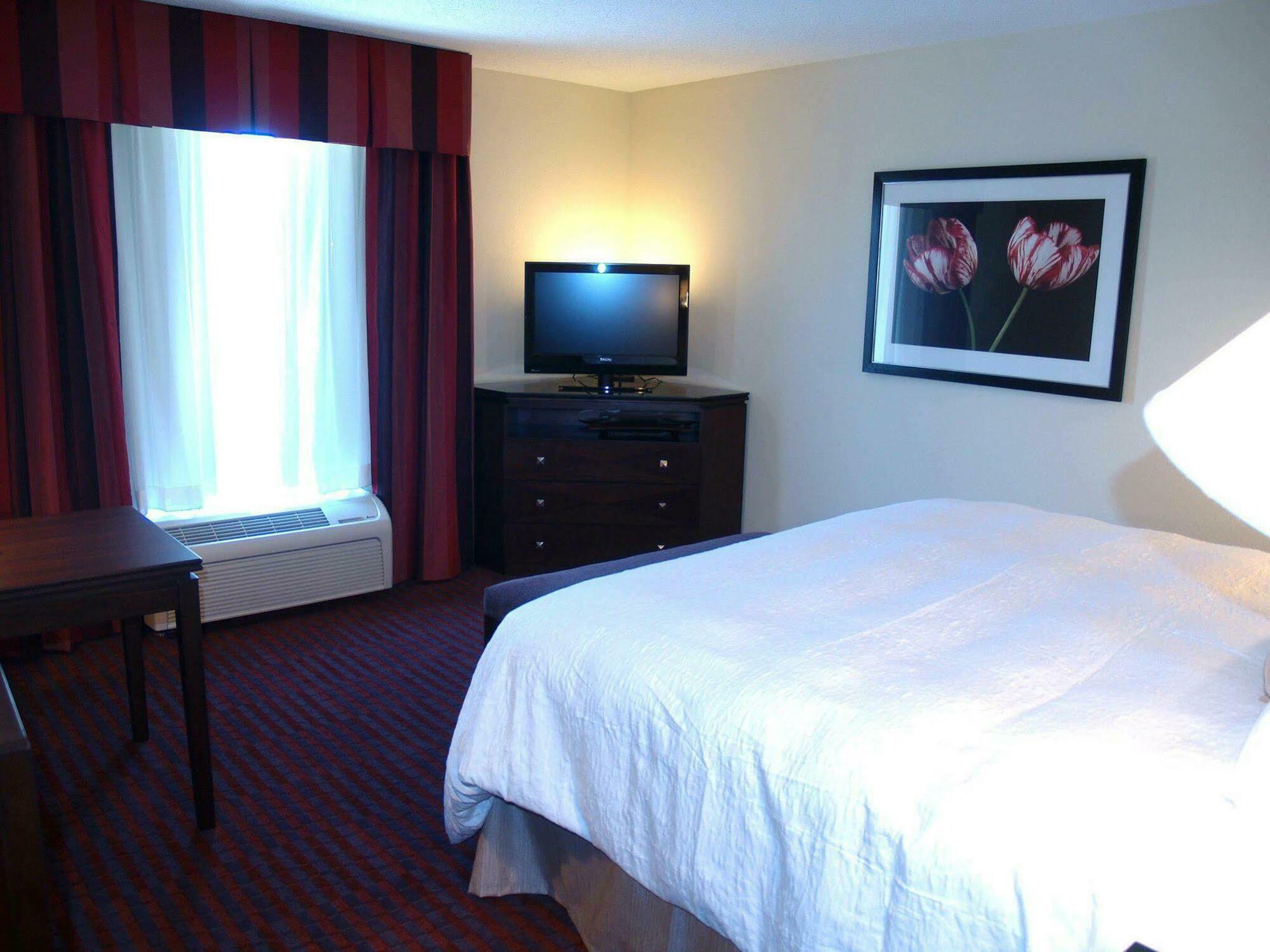 Hampton Inn Richmond - Airport Sandston Bilik gambar